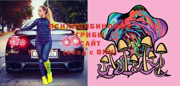 гидропоника Алзамай